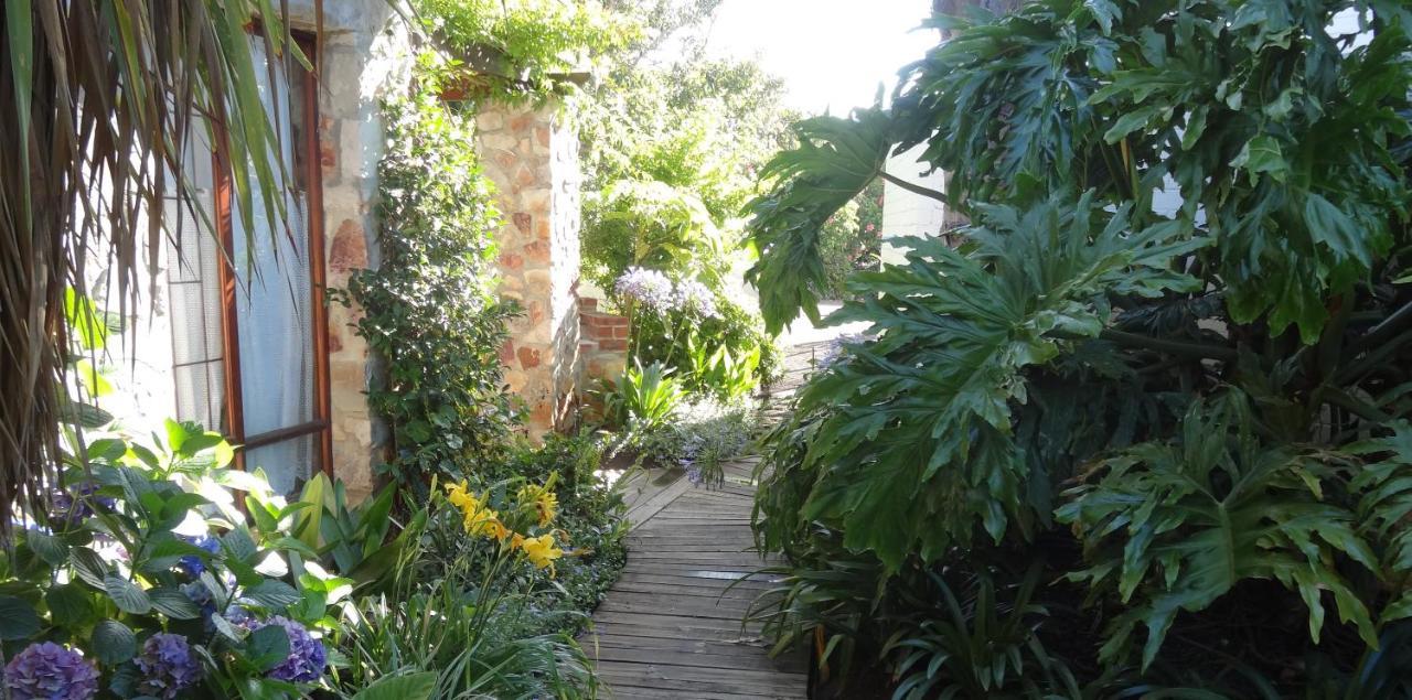 Braeview Guest house Hermanus